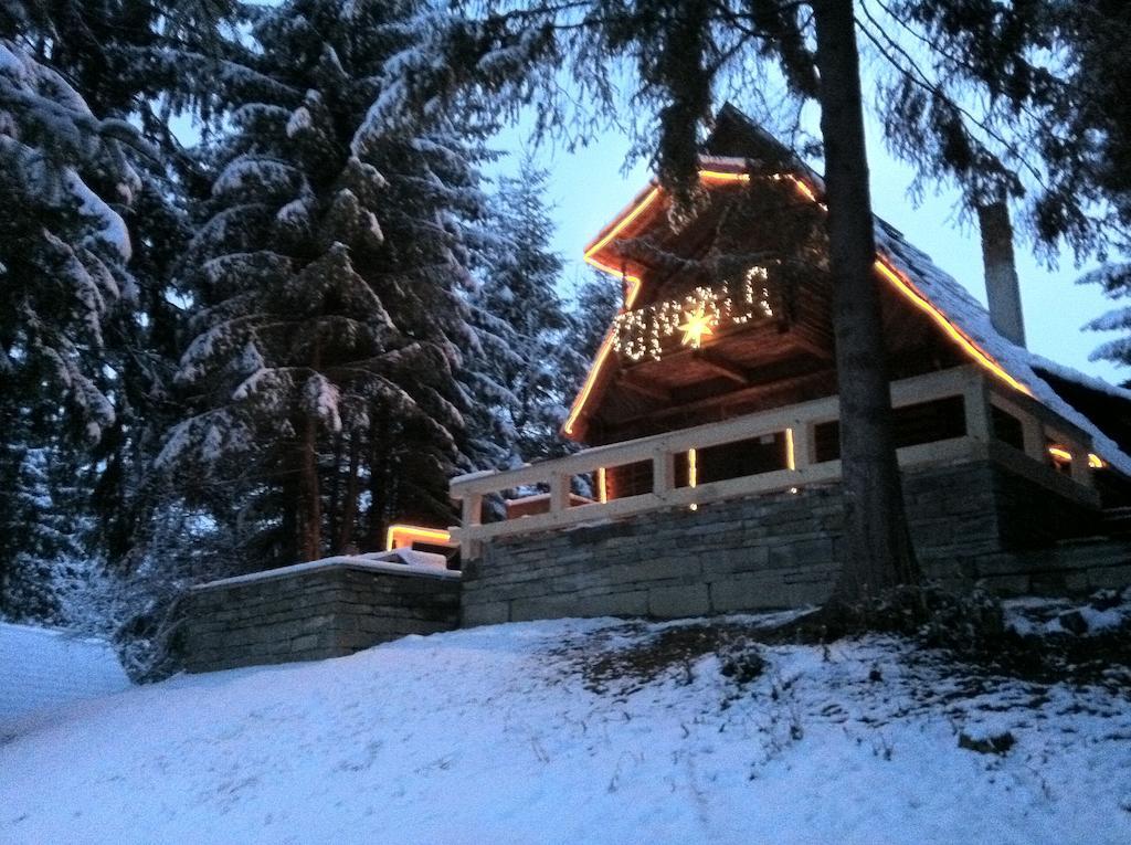 Cabana Craita Viseu de Sus Bagian luar foto