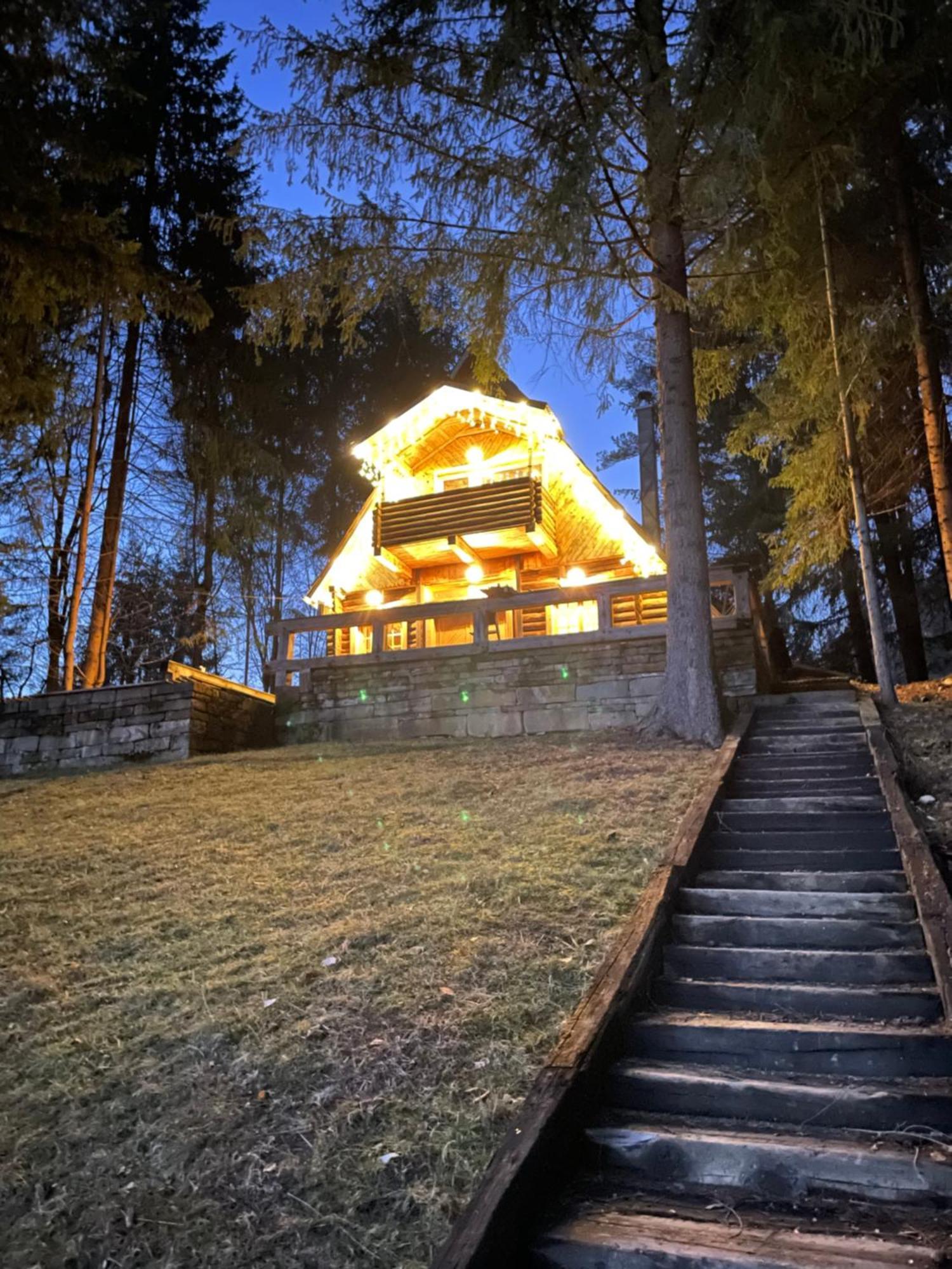 Cabana Craita Viseu de Sus Bagian luar foto